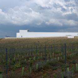 Vista geral da Adega Mayor | Álvaro Siza Vieira | Campo Maior, Alentejo |  Luís Ferreira Alves