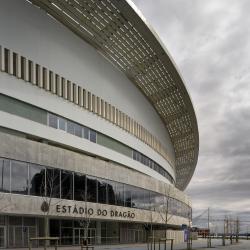 Estádio do Dragão | Risco | Porto | © Fernando Guerra