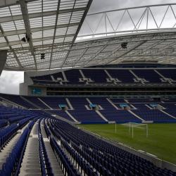 Estádio do Dragão | Risco | Porto | © Fernando Guerra