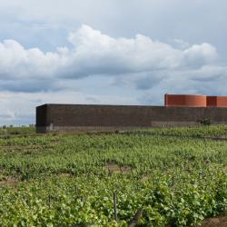 Quinta do Portal | Álvaro Siza Vieira | Douro, Sabrosa |  Luís Ferreira Alves