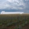 Vista geral da Adega Mayor | Álvaro Siza Vieira | Campo Maior, Alentejo |  Luís Ferreira Alves