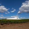 Adega Mayor | Álvaro Siza Vieira | Campo Maior, Alentejo |  Luís Ferreira Alves